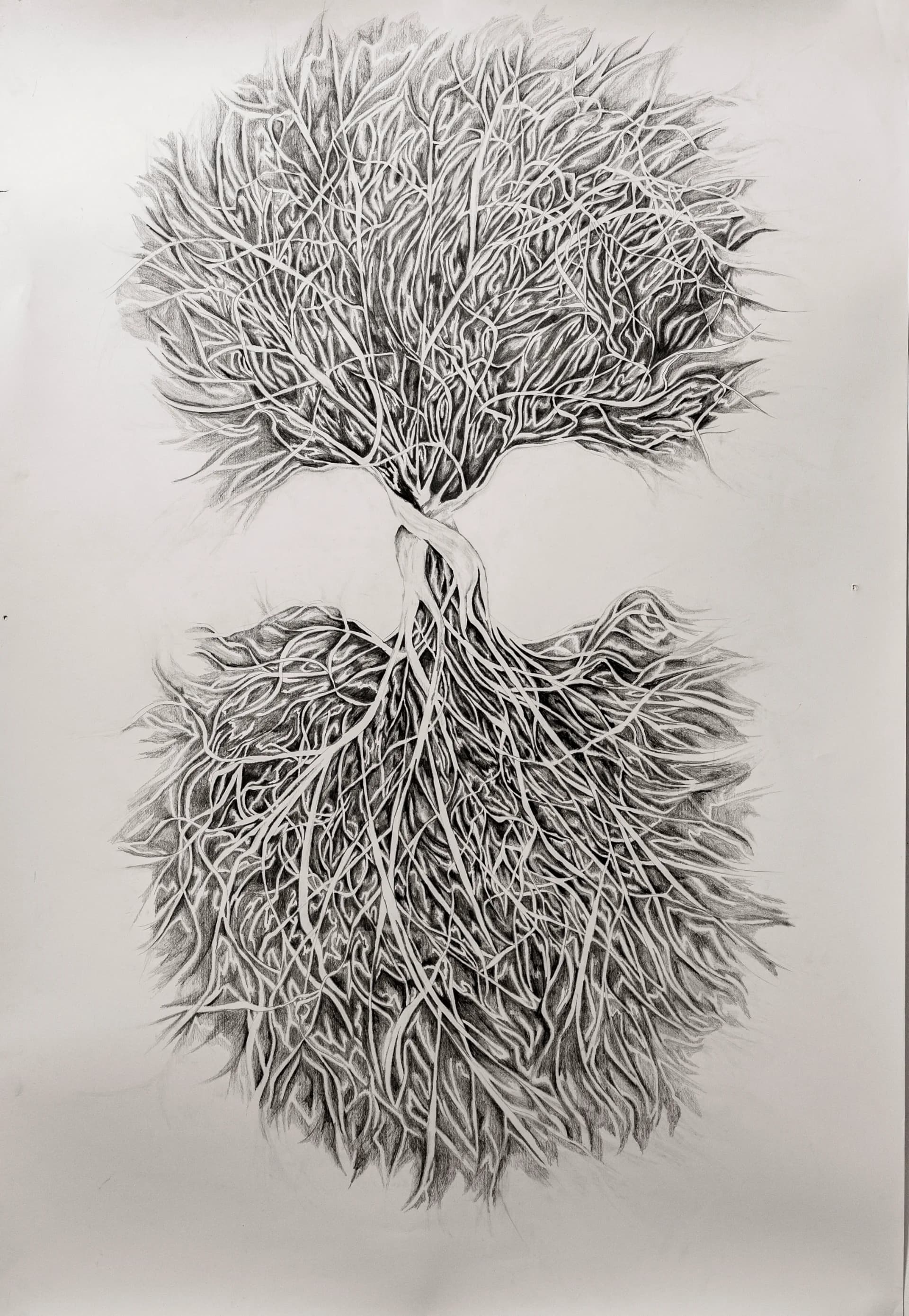 Rooted in Heaven
