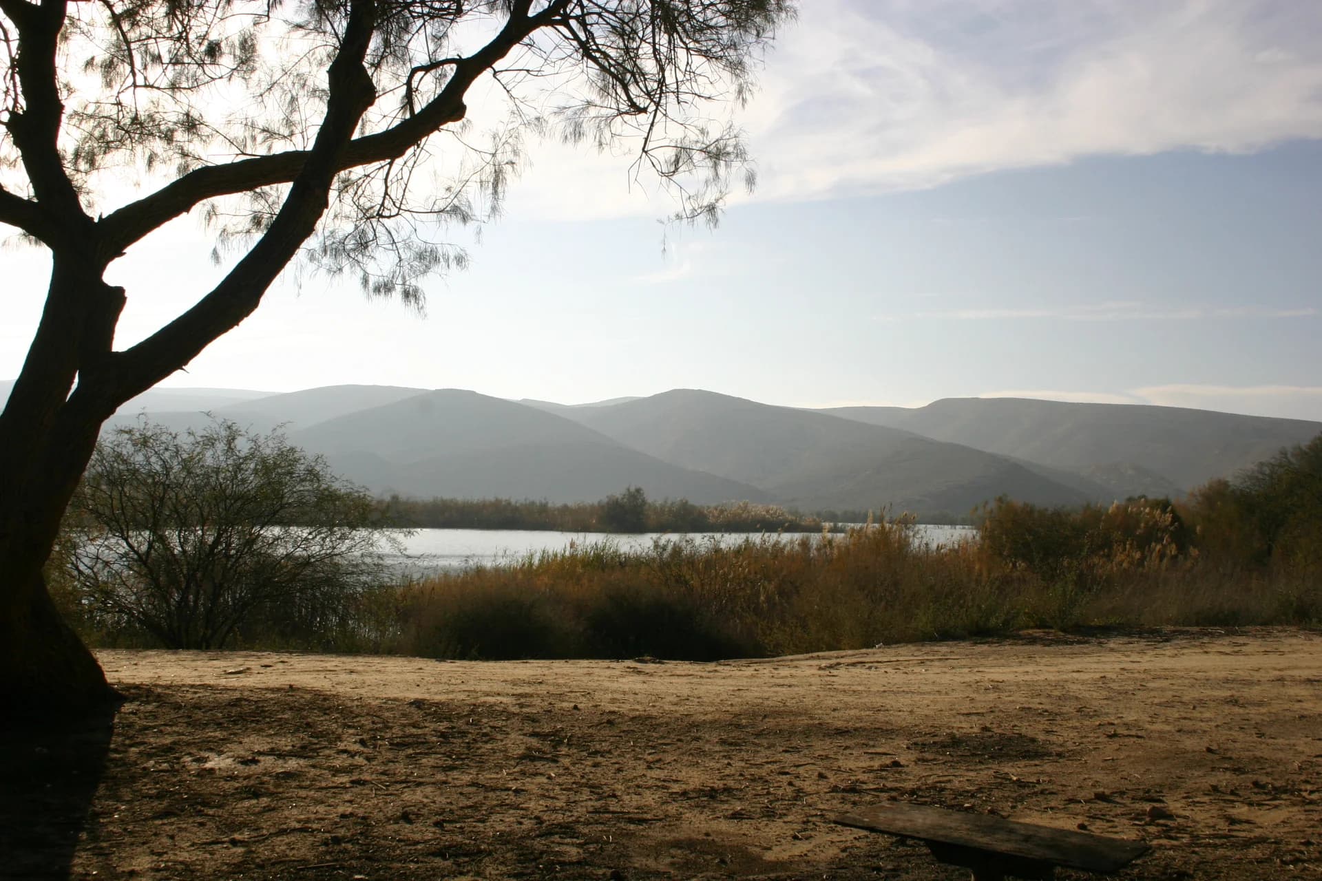 The edge of the desert