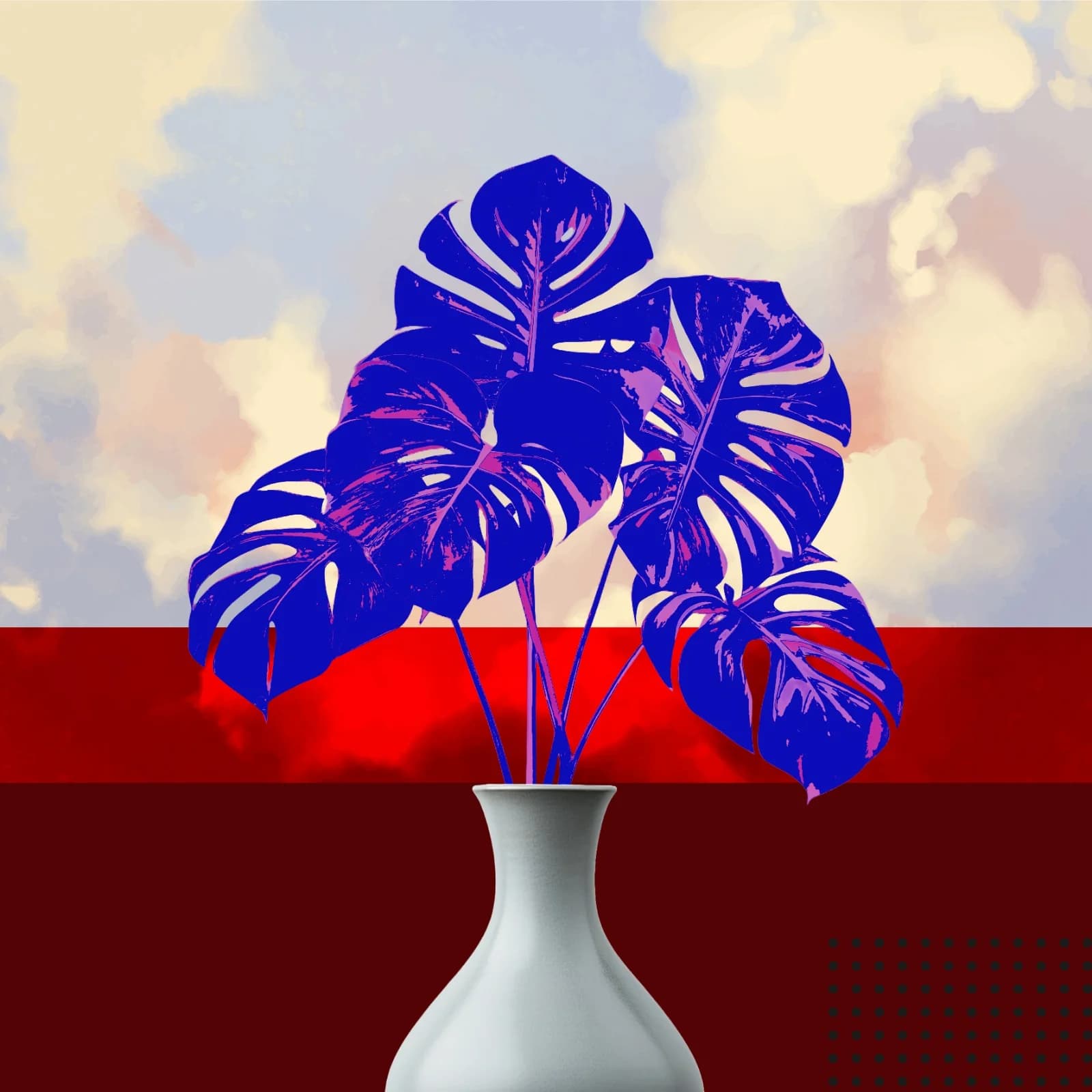 Blue Monstera