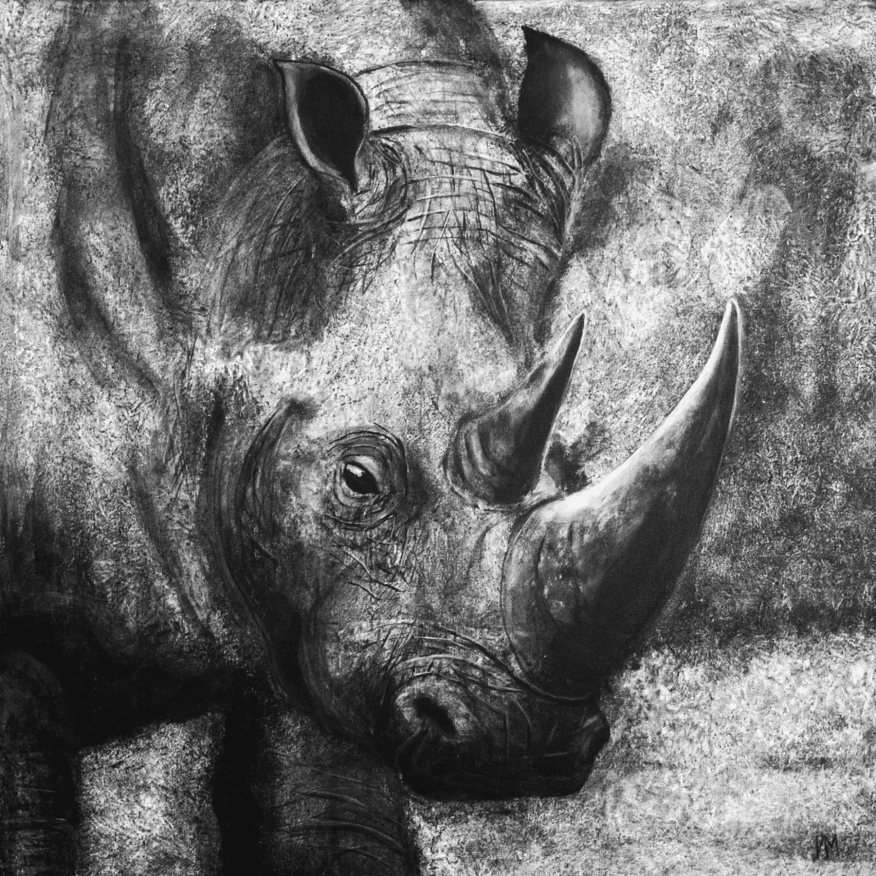 The Last Rhinoceros