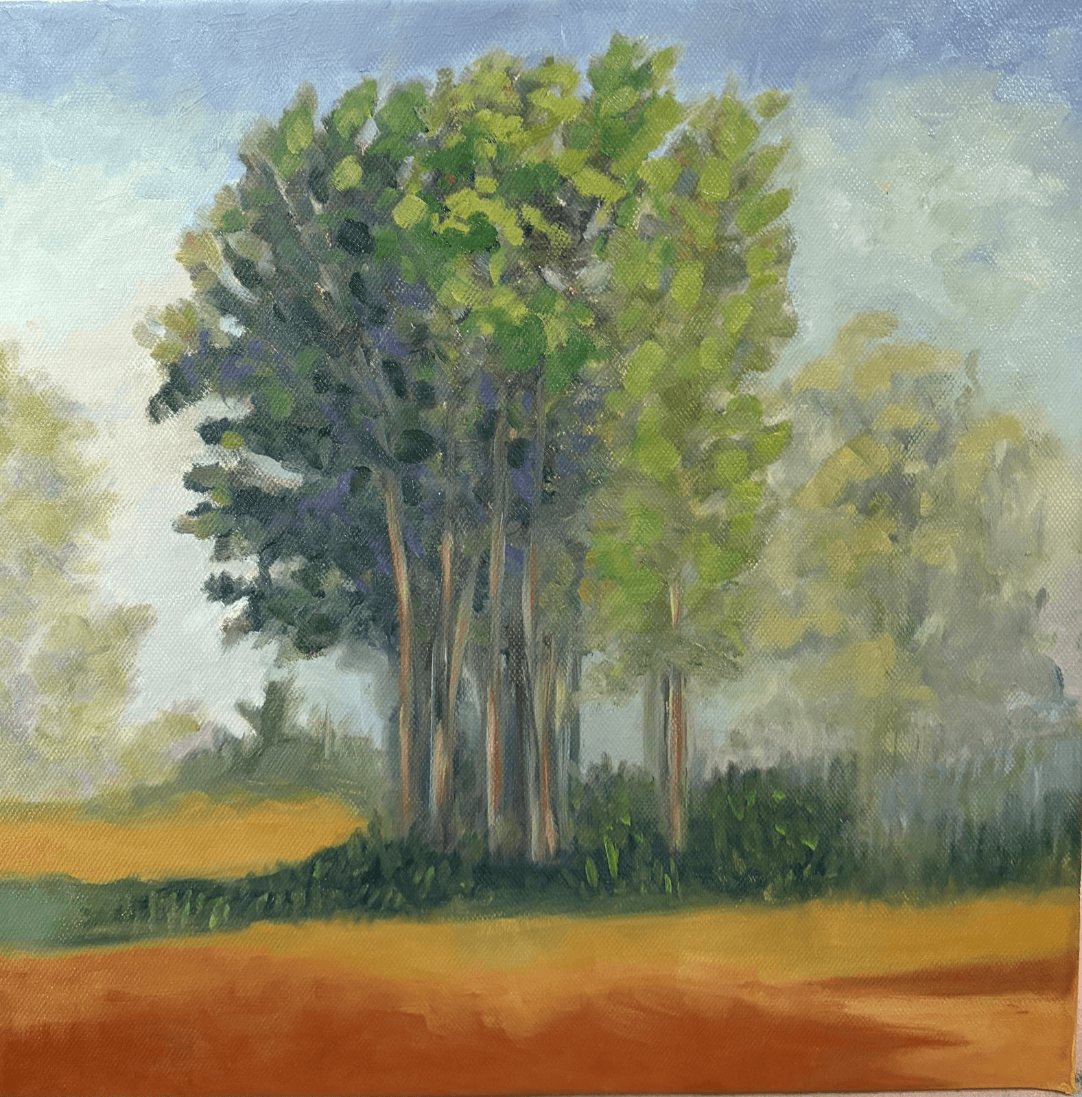 The small forest