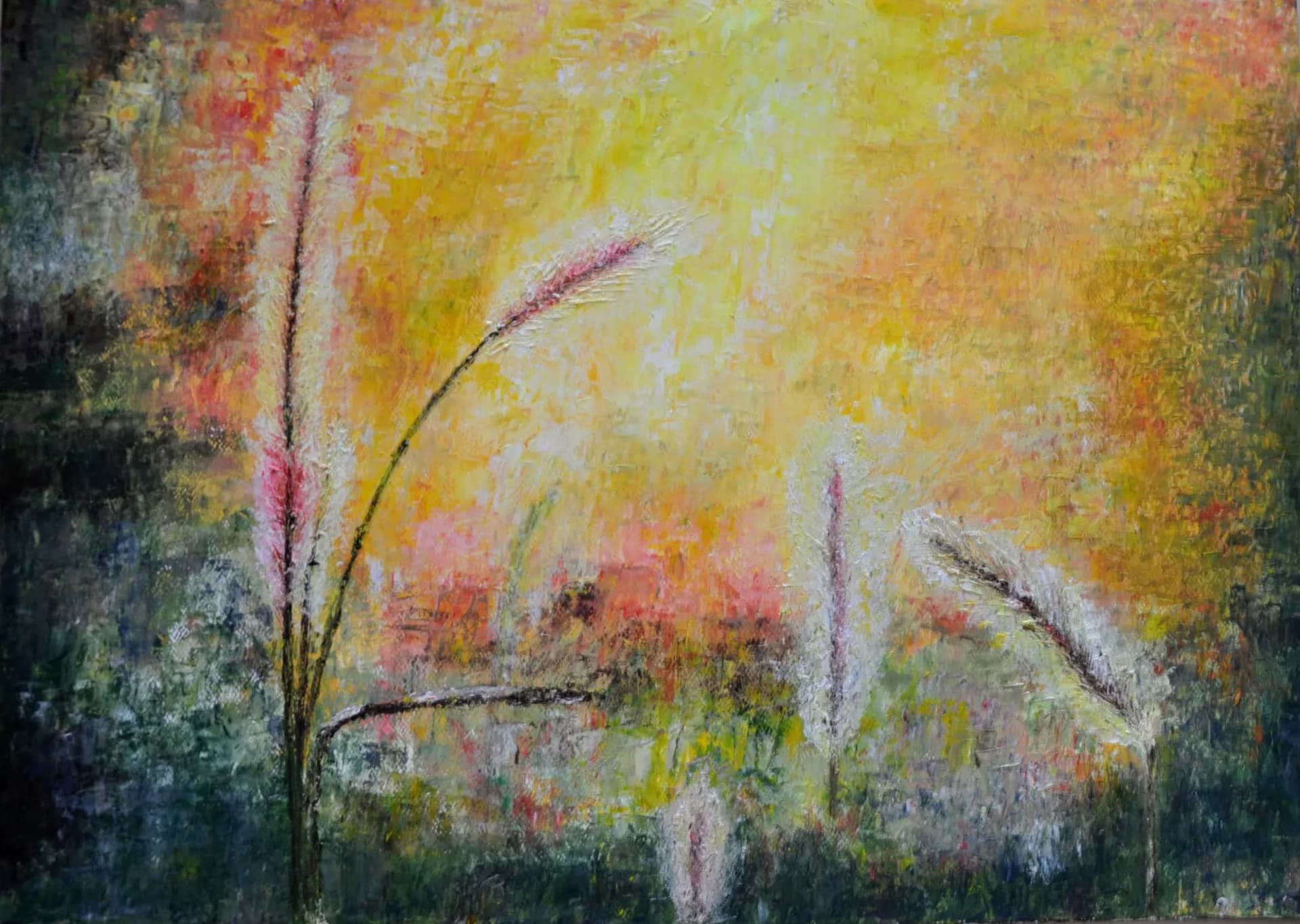 Reeds in Golden Light