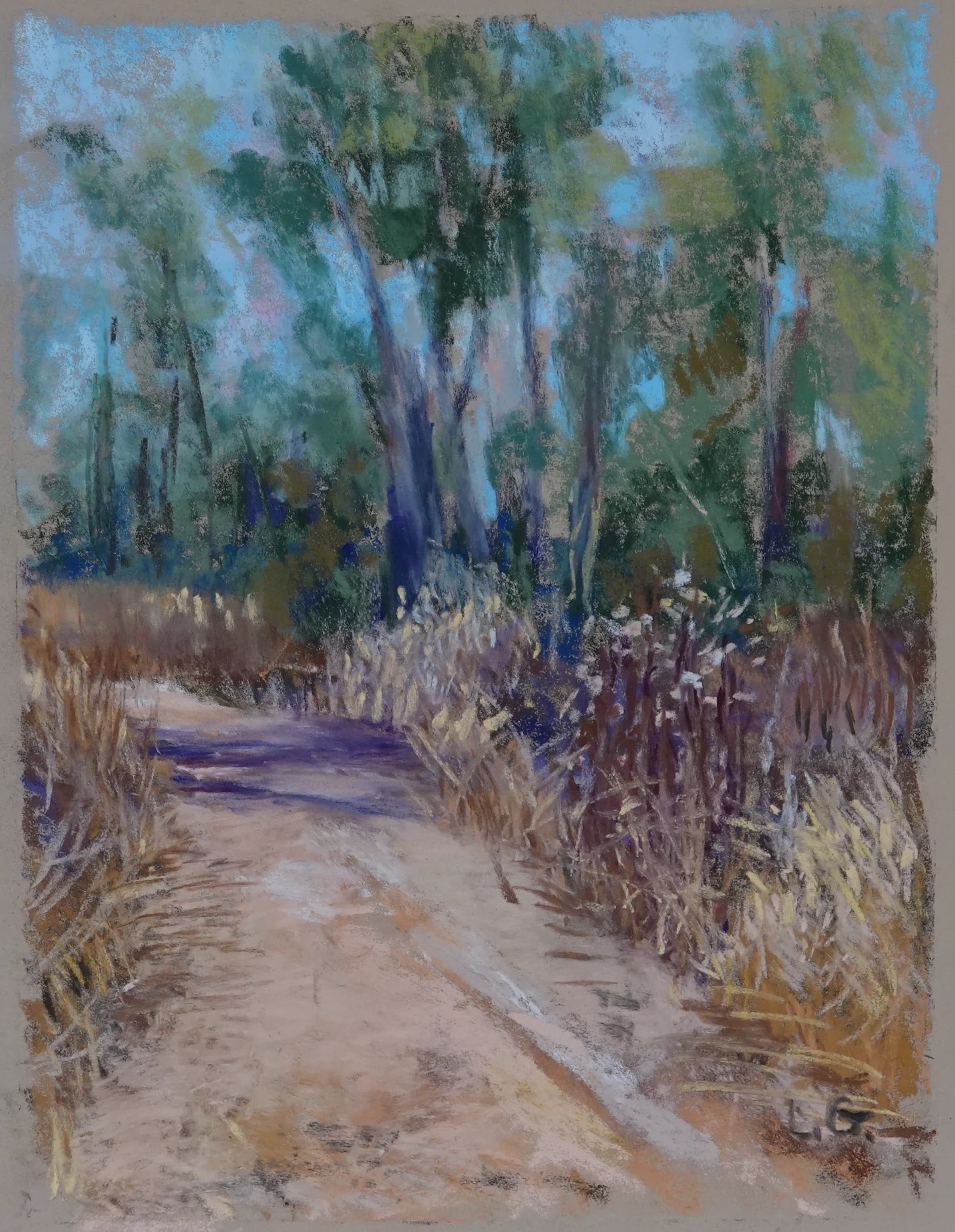Path Beneath the Trees