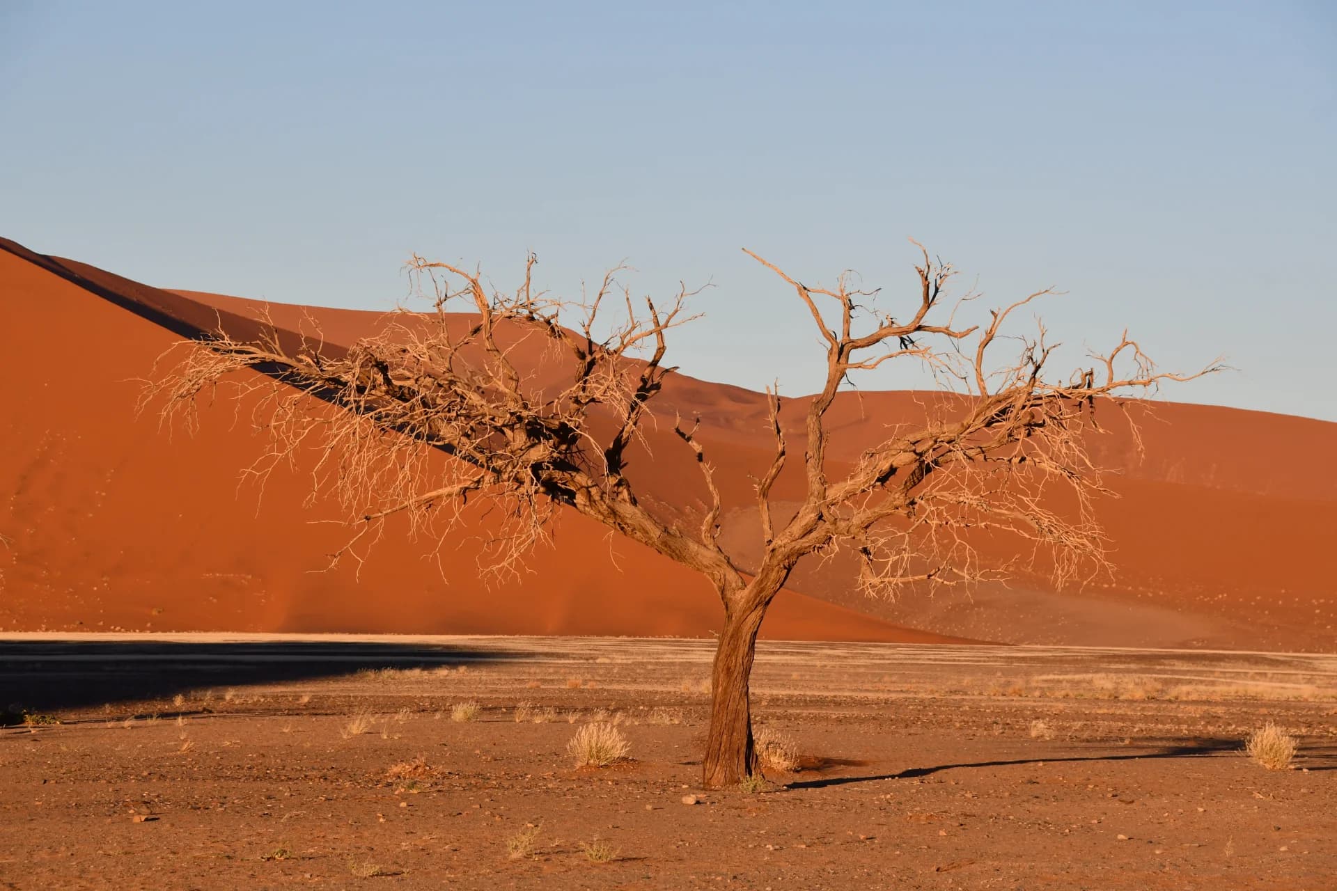 The Blending Tree