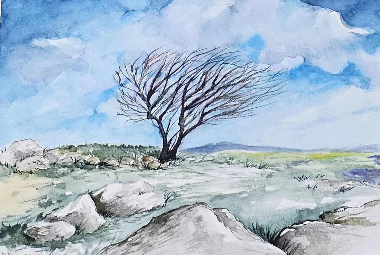 Dalit Tilleman artwork