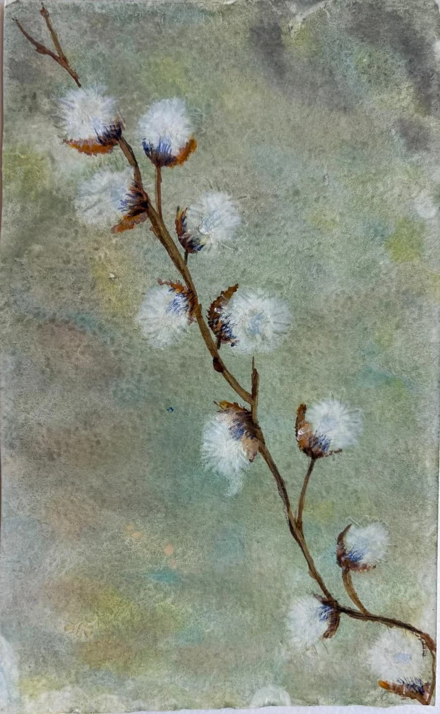 Anat Maor artwork